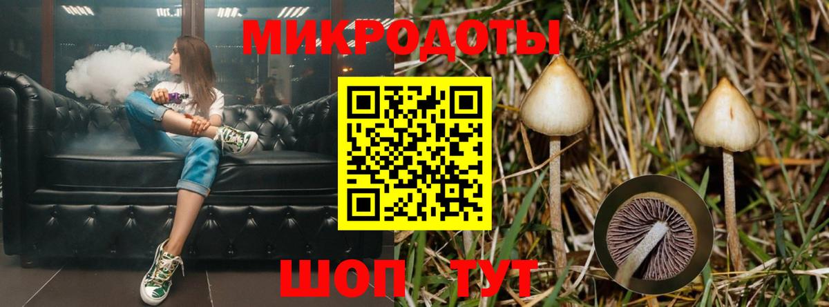 Дагестанские Огни  наркотики  Псилоцибиновые грибы Magic Shrooms  Вход с VPN  Псилоцибиновые грибы Cubensis 