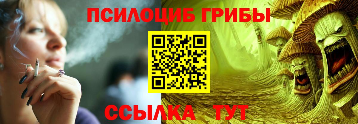 Псилоцибиновые грибы мицелий Дагестанские Огни
